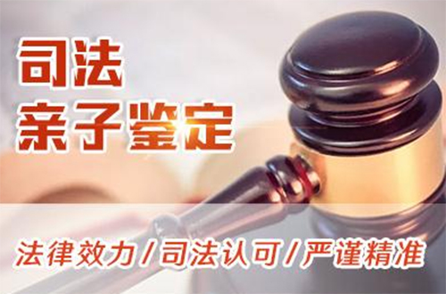 揭阳司法亲子鉴定到哪里做,揭阳司法DNA亲子鉴定需要什么材料和流程